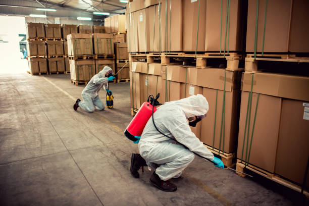 Reliable Holcom, KS Pest Control Solutions