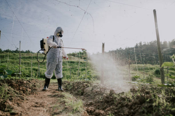 Best Pest Removal Services  in Holcom, KS