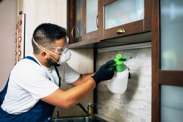 Best Pest Prevention Services  in Holcom, KS