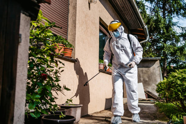 Best Flea Control Services  in Holcom, KS