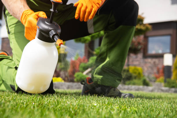 Best Pest Inspection Near Me  in Holcom, KS