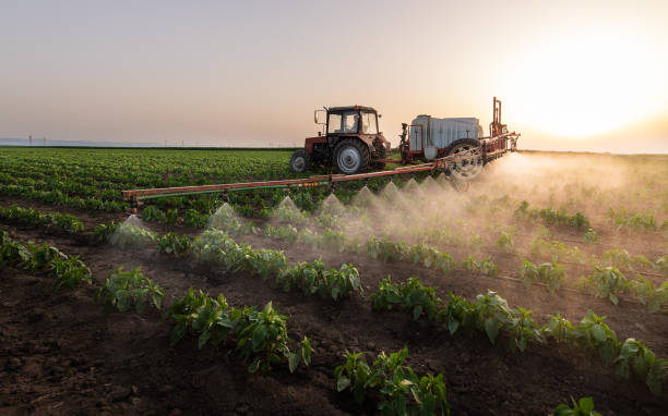 Best Mosquito Control Services  in Holcom, KS
