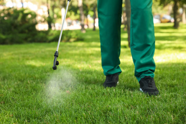 Best Exterminator Services  in Holcom, KS