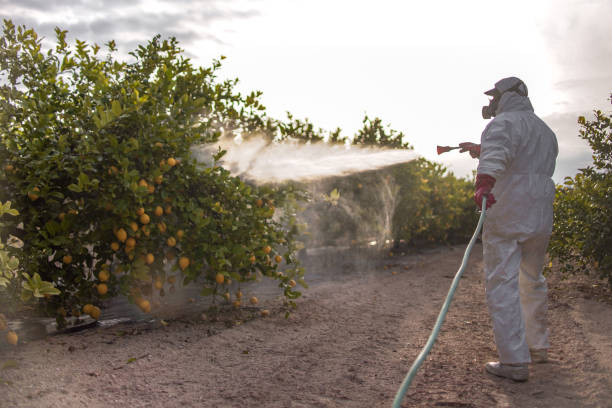 Best Affordable Pest Control Services  in Holcom, KS