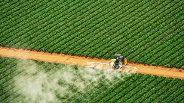 Best Local Pest Control Services  in Holcom, KS
