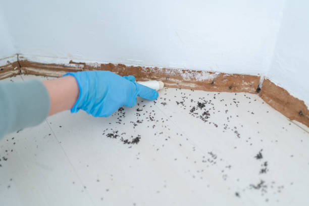 Best Wildlife Control Services  in Holcom, KS