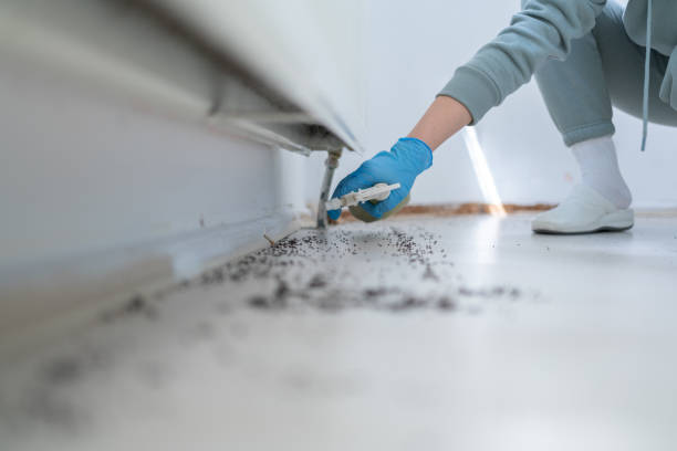 Best Pest Control Near Me  in Holcom, KS